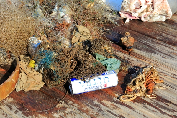 2014CostalCleanup (9).JPG