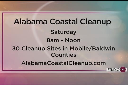 Coastal Cleanup Calls for Volunteers on Studio 10